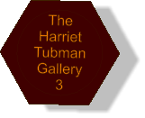 The Harriet Tubman Gallery 3