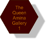 The Queen Amina Gallery 1